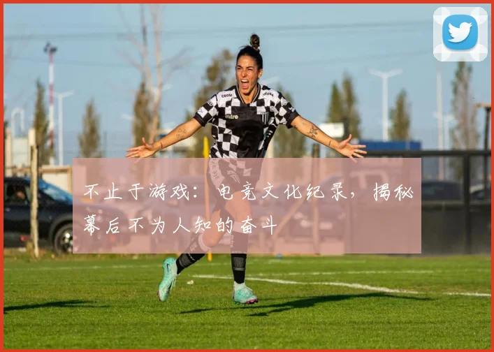 不止于游戏：电竞文化纪录，揭秘幕后不为人知的奋斗