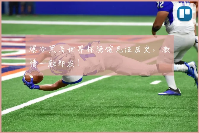 爆冷黑马世界杯场馆见证历史，激情一触即发！