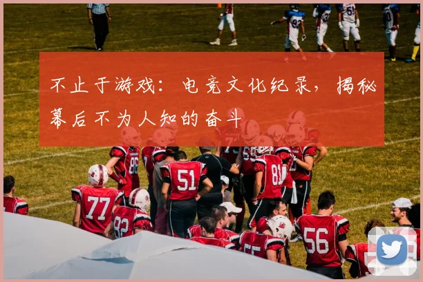 不止于游戏：电竞文化纪录，揭秘幕后不为人知的奋斗